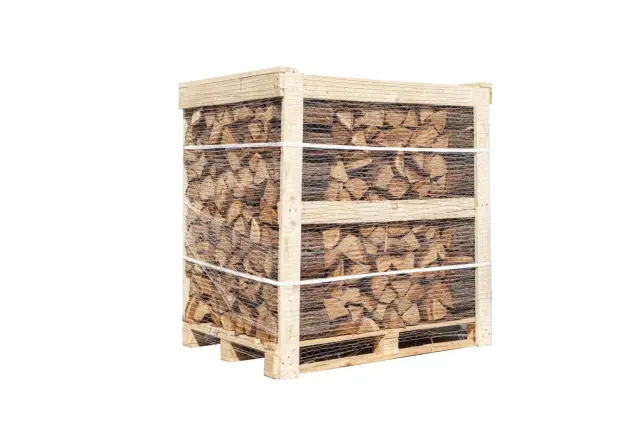 Bois de chauffage Palette - Hêtre - 30/33 cm - séché au séchoir (100% sec) - 1 Stère
