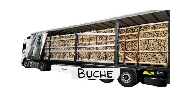 LKW-Ladung Bois de chauffage - Hêtre - 25 cm - séché au séchoir (100% sec) - 1,8 Stère Paletten